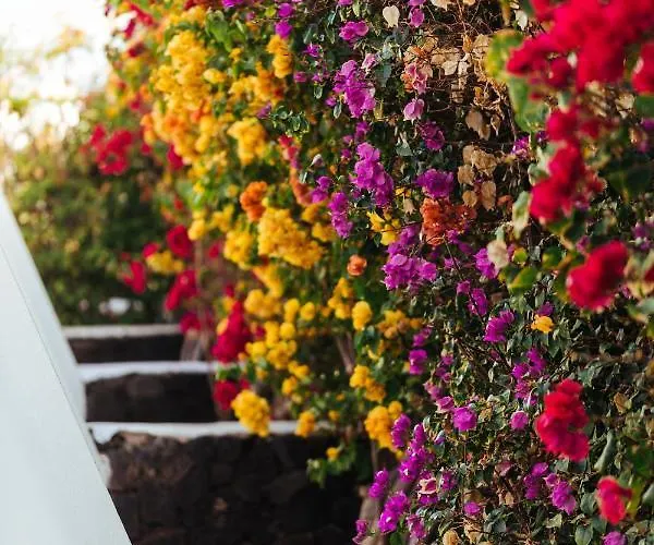 شقة فندقية Mar Azul Playa