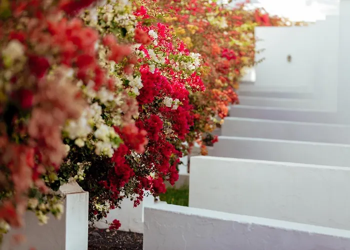 Lejlighedshotel Mar Azul Playa 4*