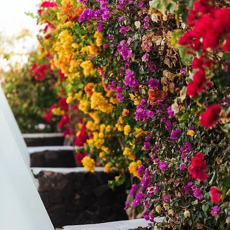 アパートホテル Mar Azul Playa