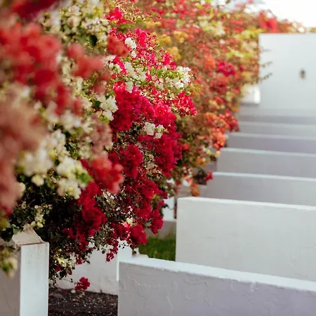 Aparthotel Mar Azul Playa 4*